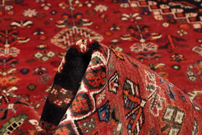 Shiraz - 10