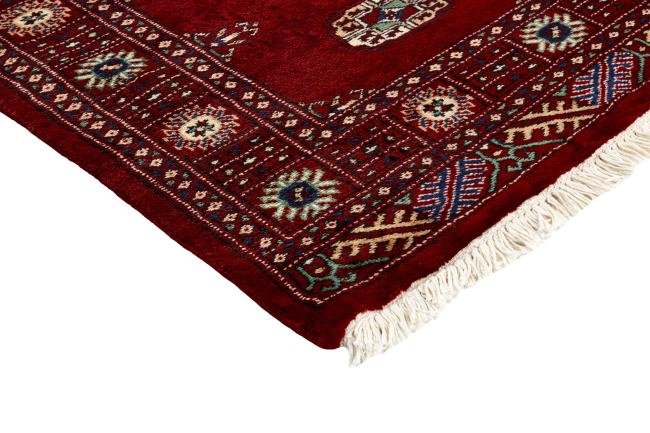 Pakistan Buchara 2ply - 3