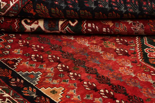Shiraz - 1