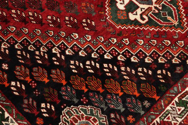 Shiraz - 7