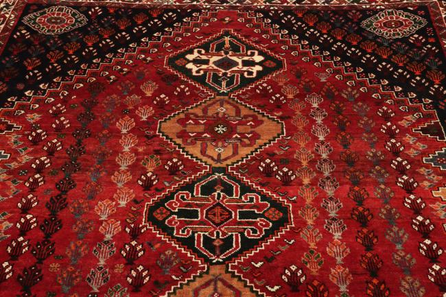 Shiraz - 9