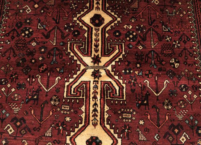 Shiraz - 4