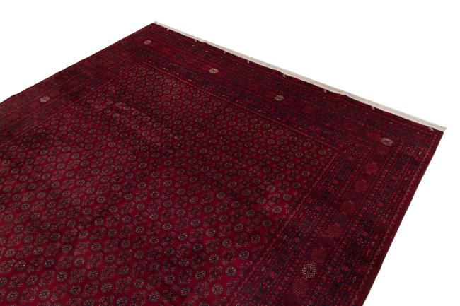 Afghan Mauri - 3
