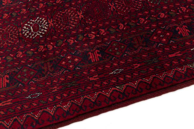 Afghan Mauri - 4