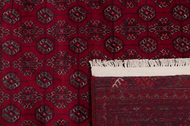 Afghan Mauri - 6