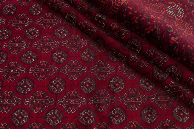 Afghan Mauri - 8