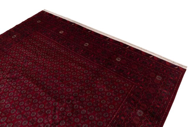 Afghan Mauri - 3