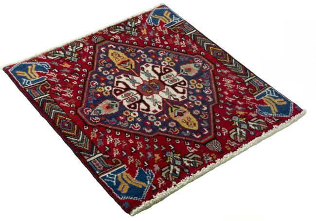 Shiraz - 2