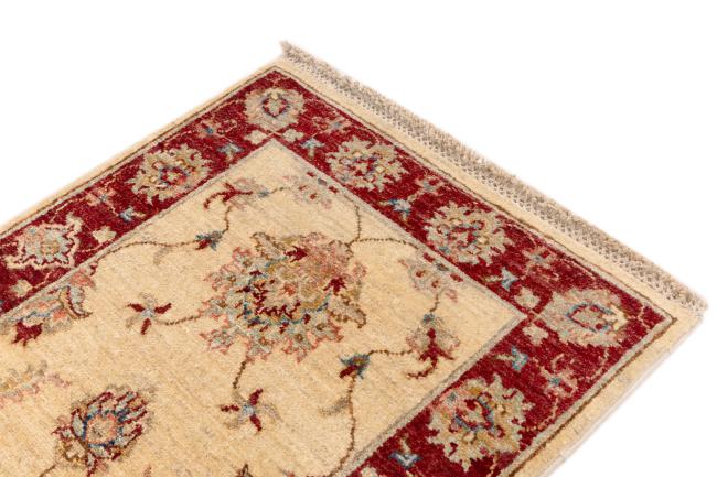 Ziegler Farahan - 3