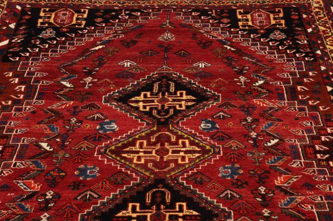 Shiraz - 9