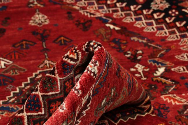 Shiraz - 10