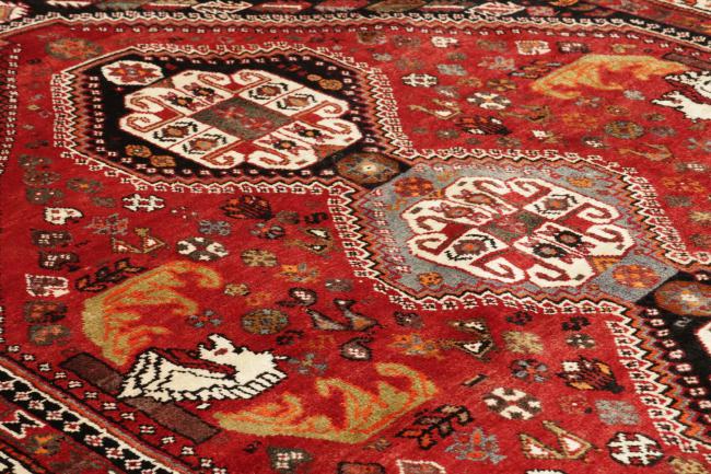 Shiraz - 8