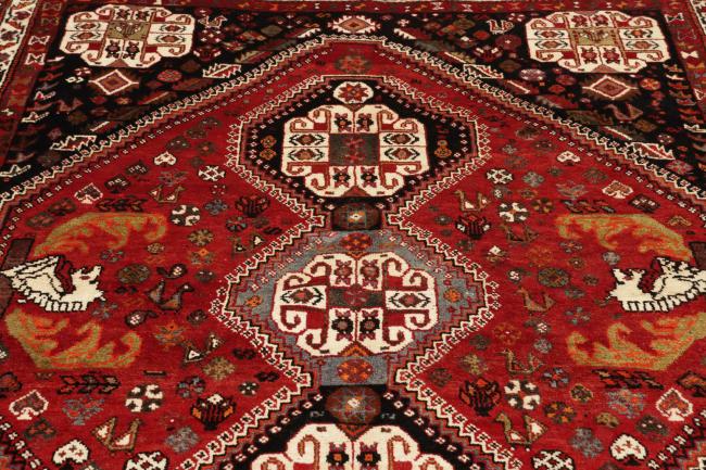 Shiraz - 9