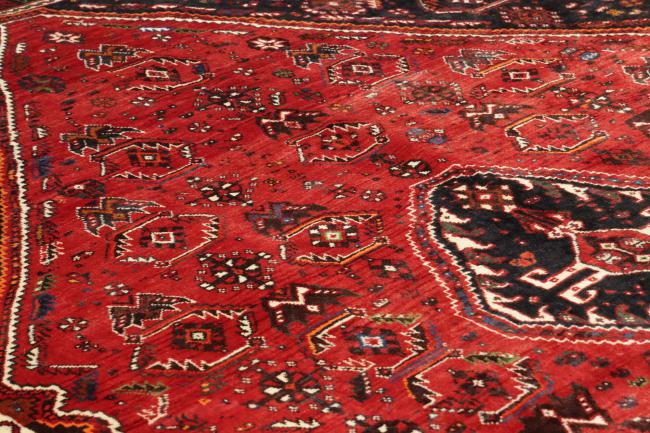 Shiraz - 8