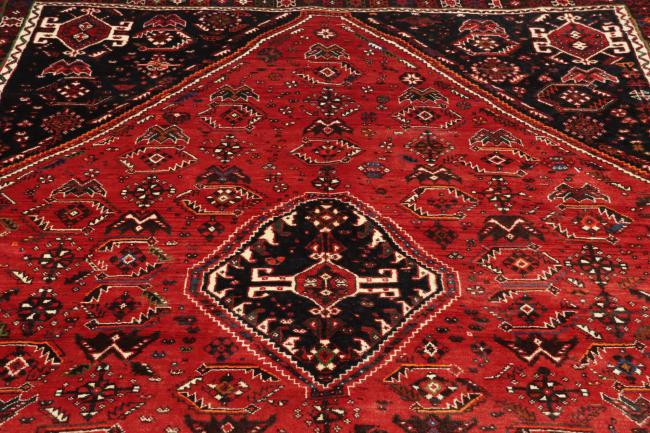 Shiraz - 9