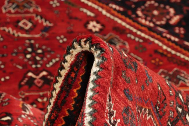 Shiraz - 10