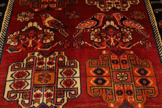 Shiraz - 4