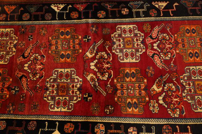 Shiraz - 5