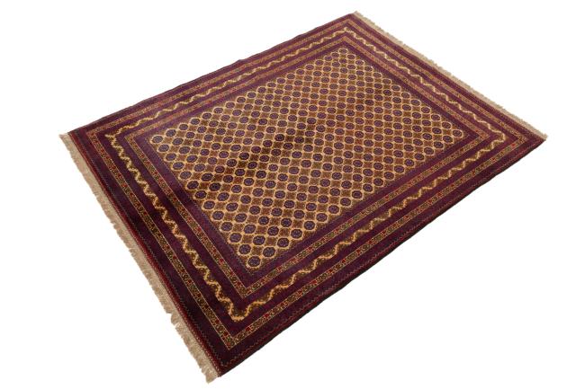 Afghan Mauri - 1
