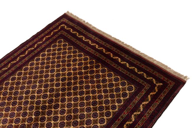 Afghan Mauri - 3