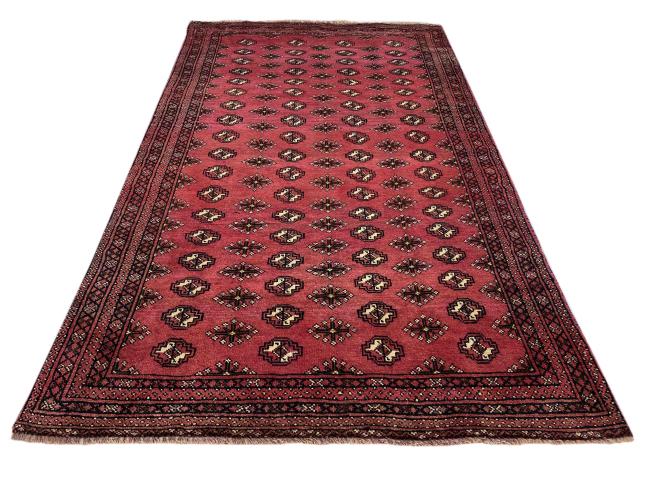 Baluch - 1