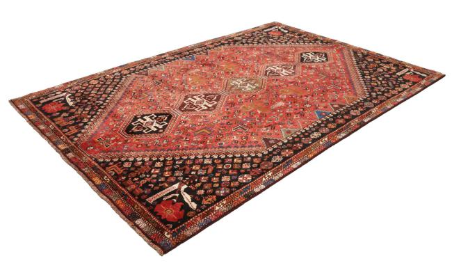 Shiraz - 4