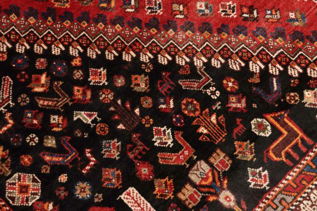 Shiraz - 8