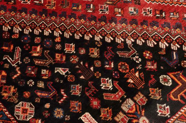 Shiraz - 9