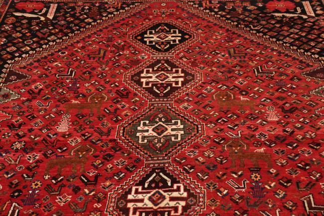 Shiraz - 11