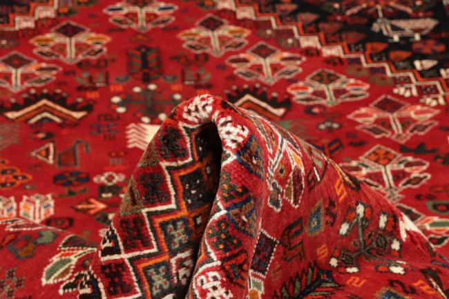 Shiraz - 1