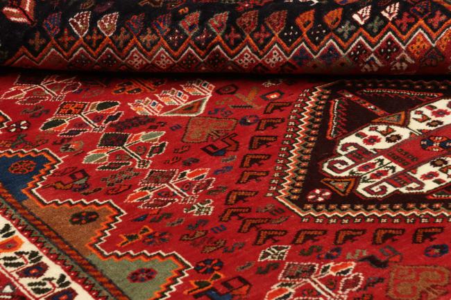 Shiraz - 2