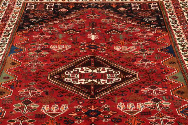 Shiraz - 10