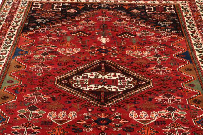 Shiraz - 11