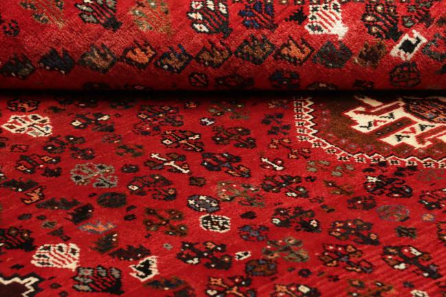Shiraz - 1