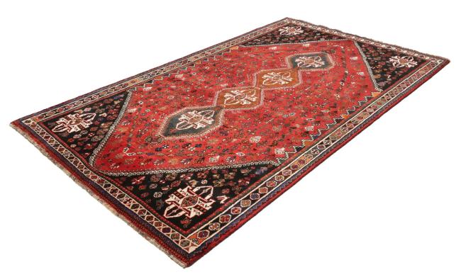 Shiraz - 3