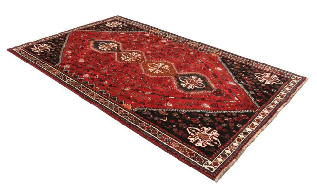 Shiraz - 4