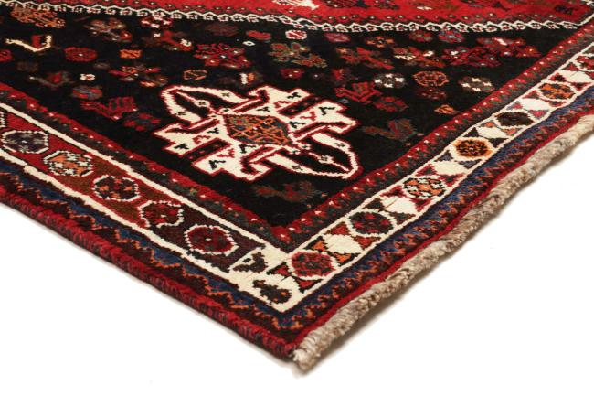 Shiraz - 6