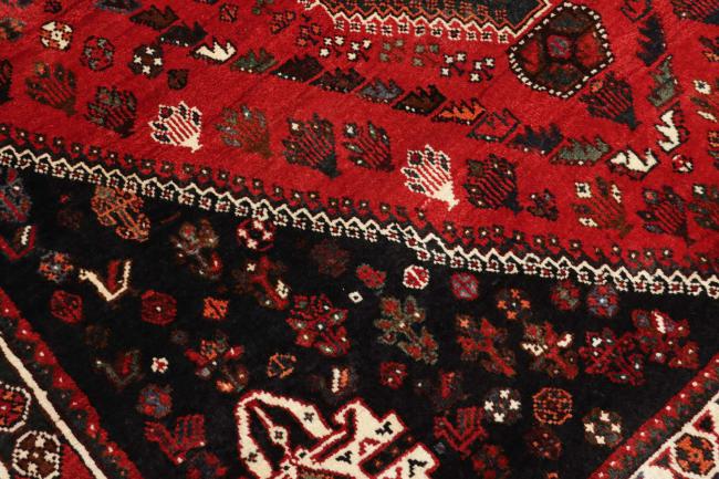 Shiraz - 7