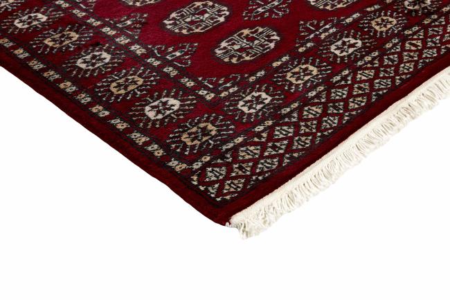 Pakistan Buchara 2ply - 3