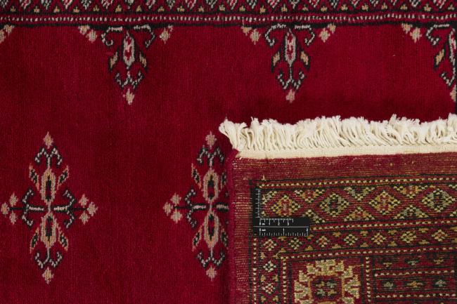 Pakistan Buchara 2ply - 1