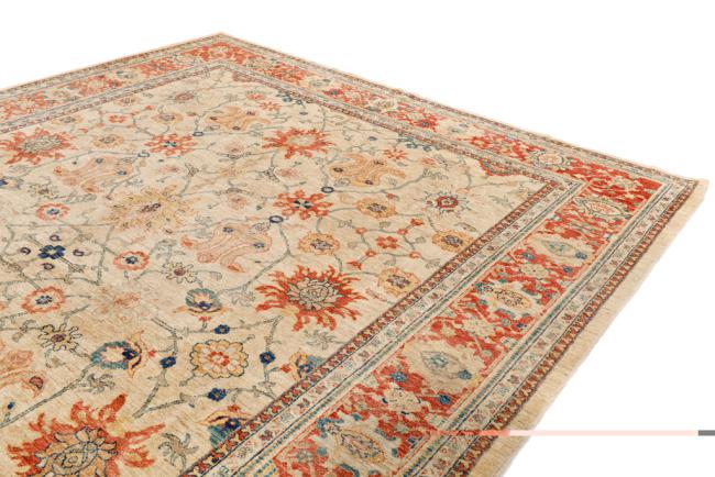 Ziegler Farahan - 3