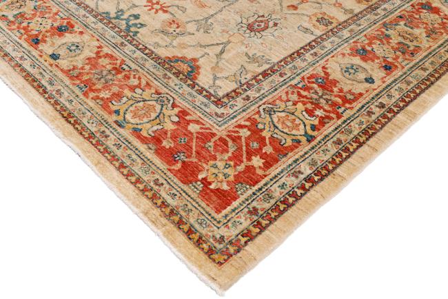 Ziegler Farahan - 5
