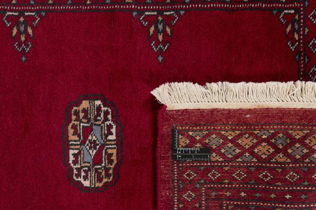 Pakistan Buchara 2ply - 1