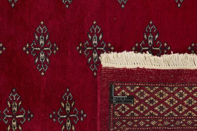 Pakistan Buchara 2ply - 1