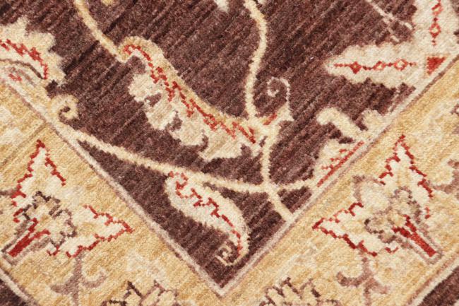 Ziegler Farahan - 6