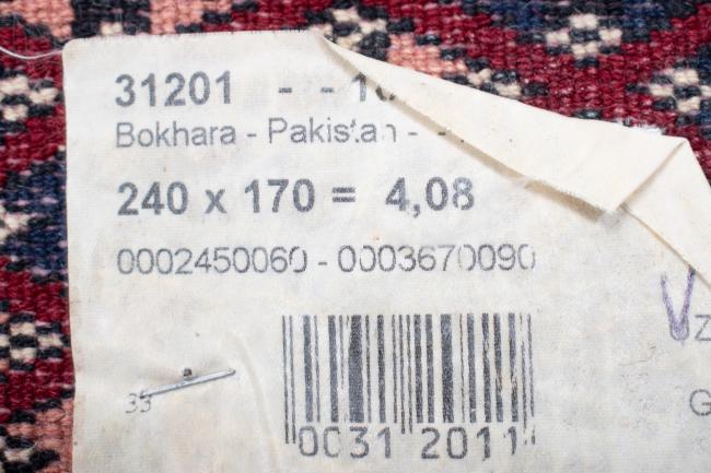 Pakistan Bukhara 3ply - 8