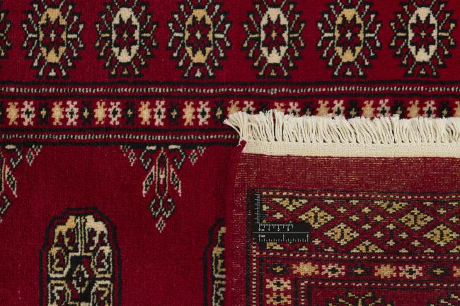 Pakistan Buchara 2ply - 1