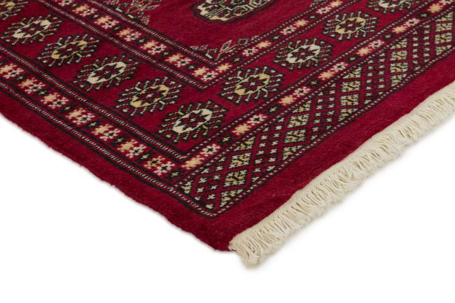 Pakistan Buchara 2ply - 3