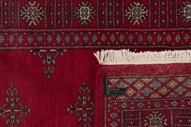 Pakistan Buchara 3ply - 1