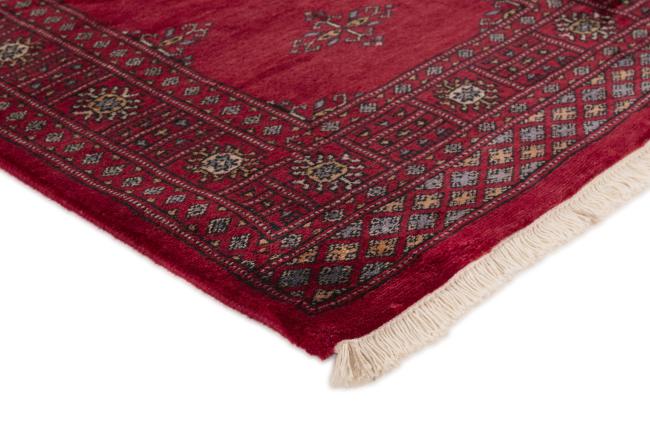 Pakistan Buchara 3ply - 2
